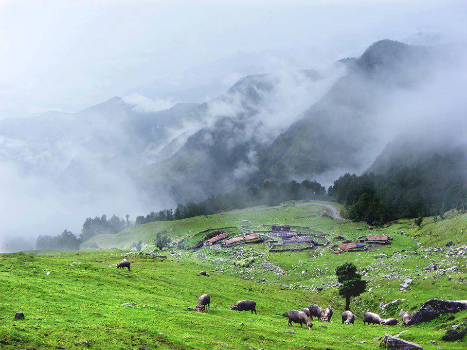 Chopta – Mini Switzerland of India