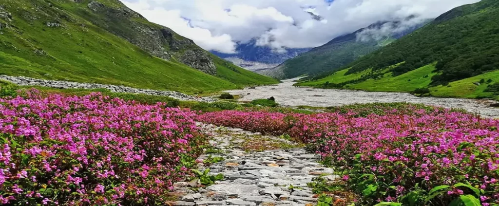 Valley of Flowers